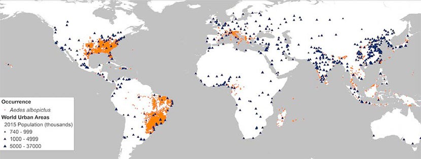 Global distribution of Aedes albopictus 